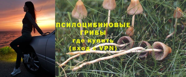 не бодяженный Ладушкин
