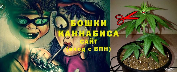 твердый Кукмор