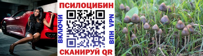 kraken маркетплейс  Курильск  Псилоцибиновые грибы прущие грибы 